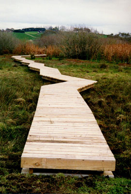 Lake Ngaroto Walkway from the east